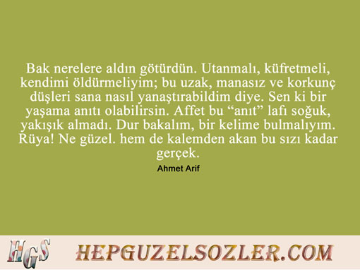 Ahmet-Arif-Sozleri-1 - Bak nerelere aldın götürdün Utanmalı küfretmeli kendimi öldürmeliyim...